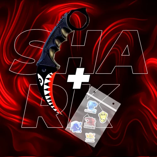 shark treningowy.webp