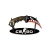 SHARK TRENINGOWY.webp