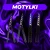 motylki.webp
