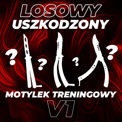 losowy motylek.webp