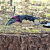 NÓŻ KARAMBIT BEAST CS2CSGO IRL.png